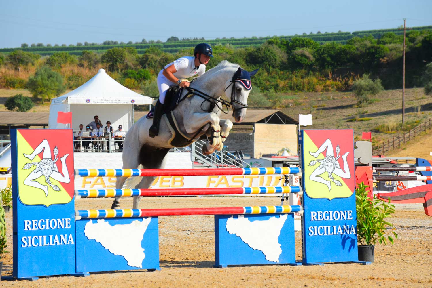 Gare, concorsi e convegni alla Fiera Mediterranea del Cavallo