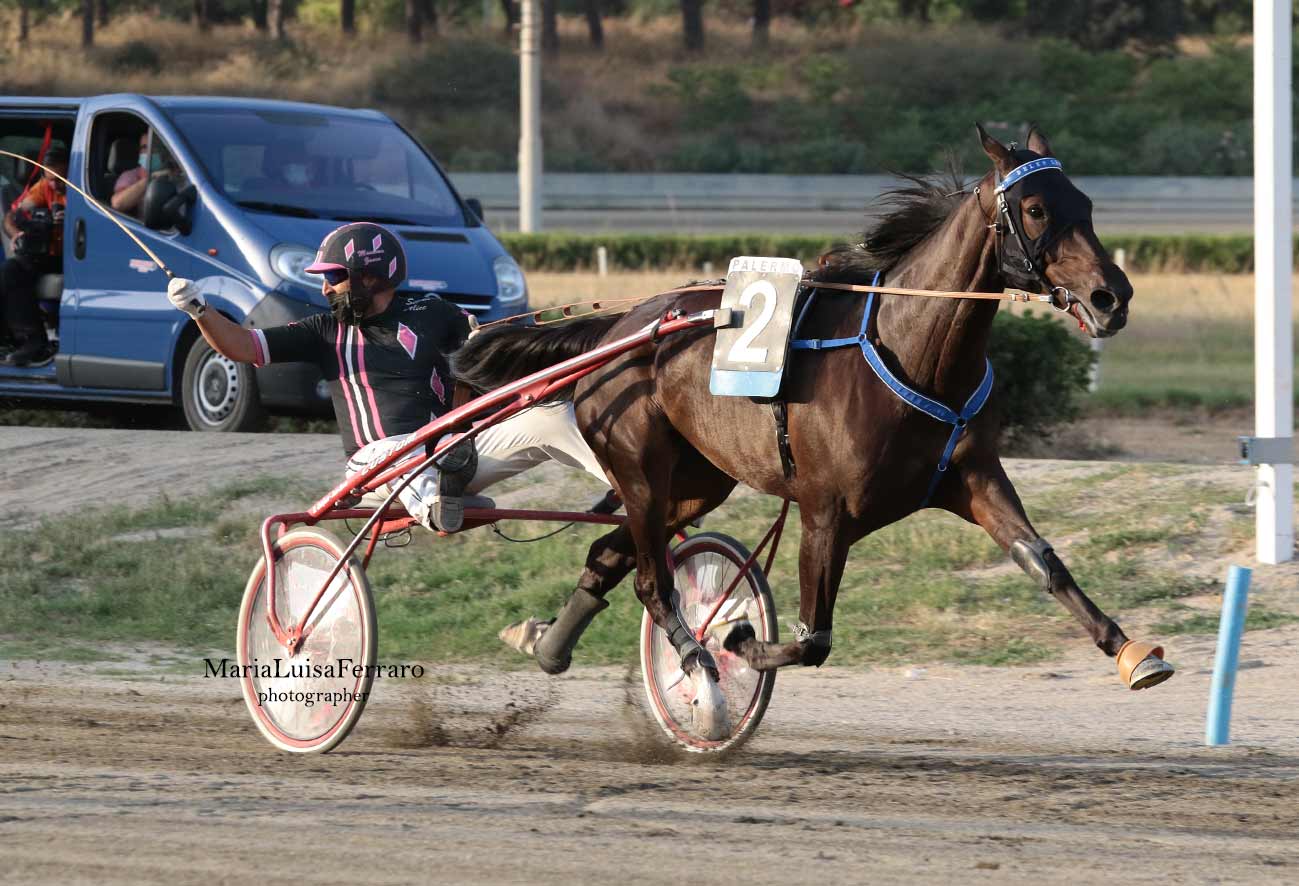 Ipprodromo La Favorita, risultati 28 luglio, Belen Leone vincitore centrale
