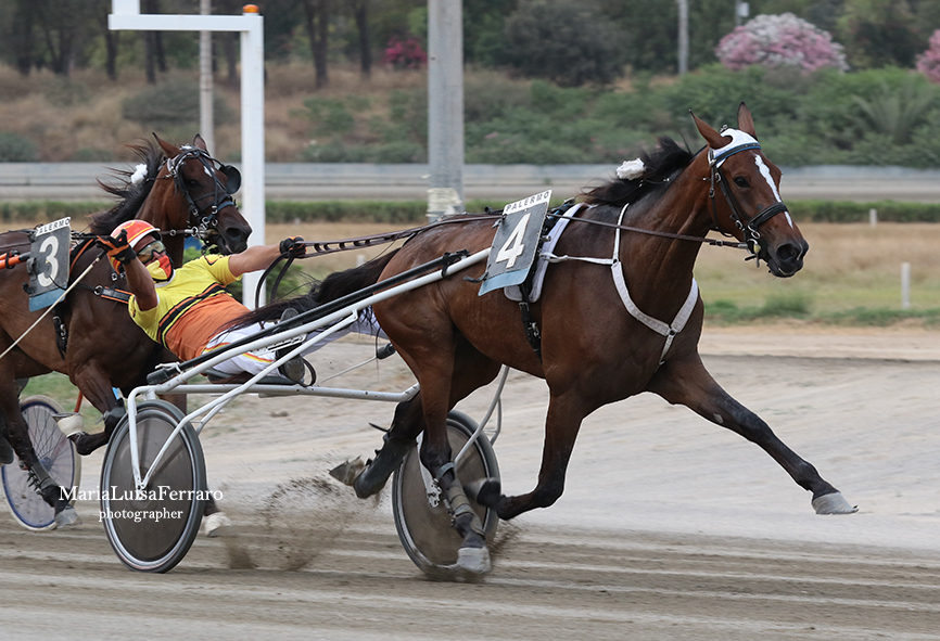 Palermo, l’ippodromo “come una volta”, le novità per il pubblico