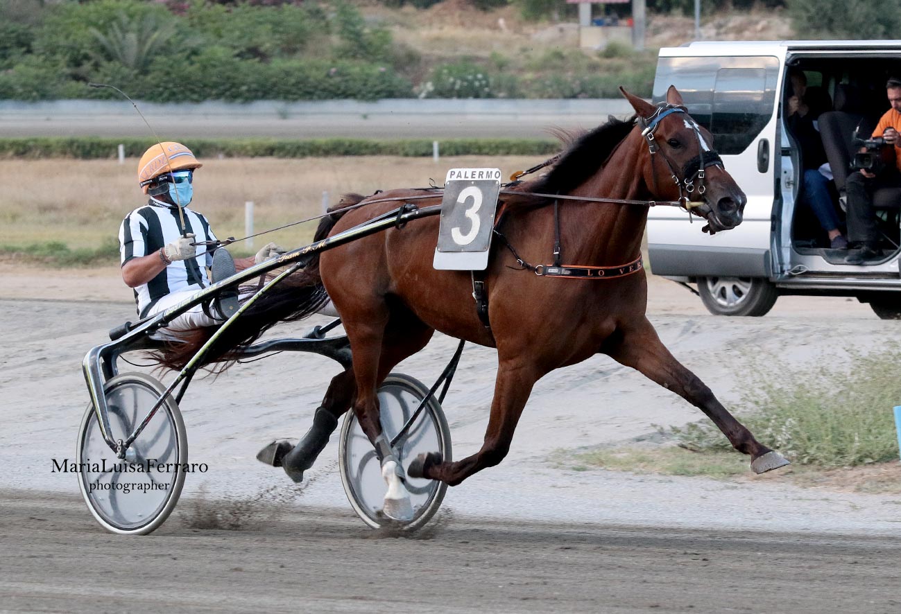 Ippodromo La Favorita, Criss Cross nuovamente al primo posto, i risultati