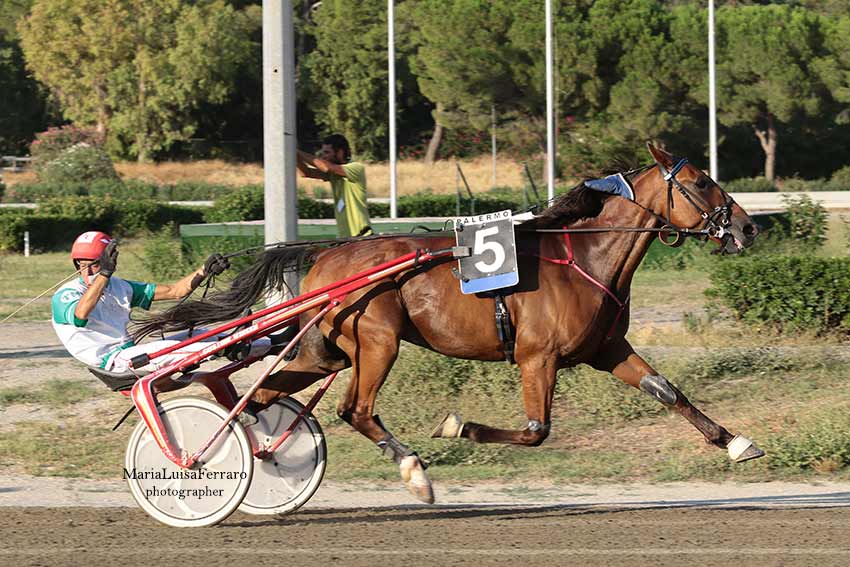 Ippodromo La Favorita, i risultati del 21 luglio e la vittoria di Urbano Bargal