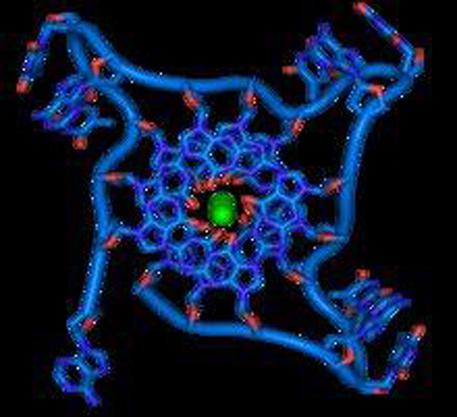 Google, database pubblico per accelerare ricerca genoma umano