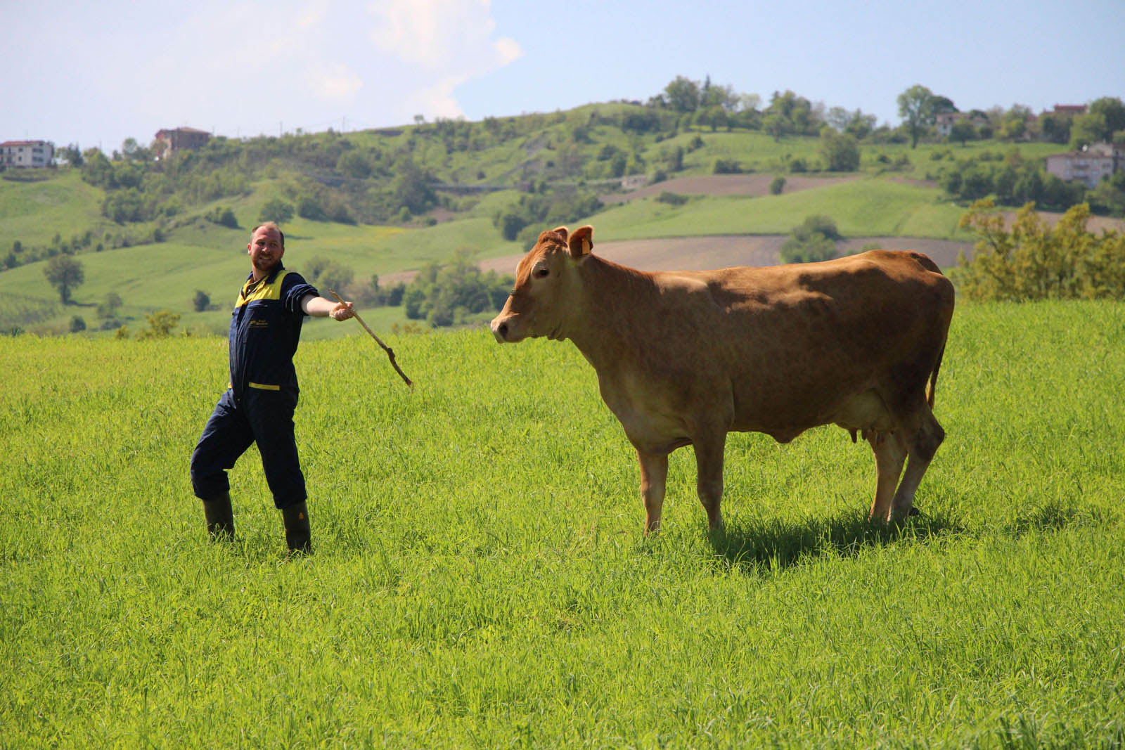 Incendi, primi contributi alle aziende zootecniche siciliane