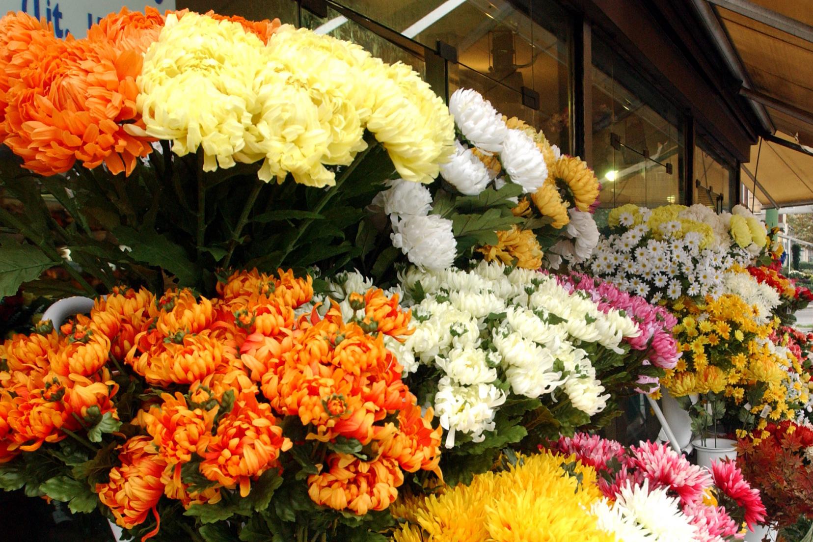 Sicilia, arriva il Bonus fiorai, ecco in cosa consiste