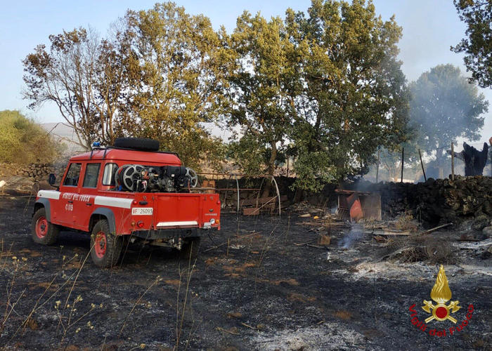 Incendi, Draghi firma dpcm, mobilitazione per Sicilia