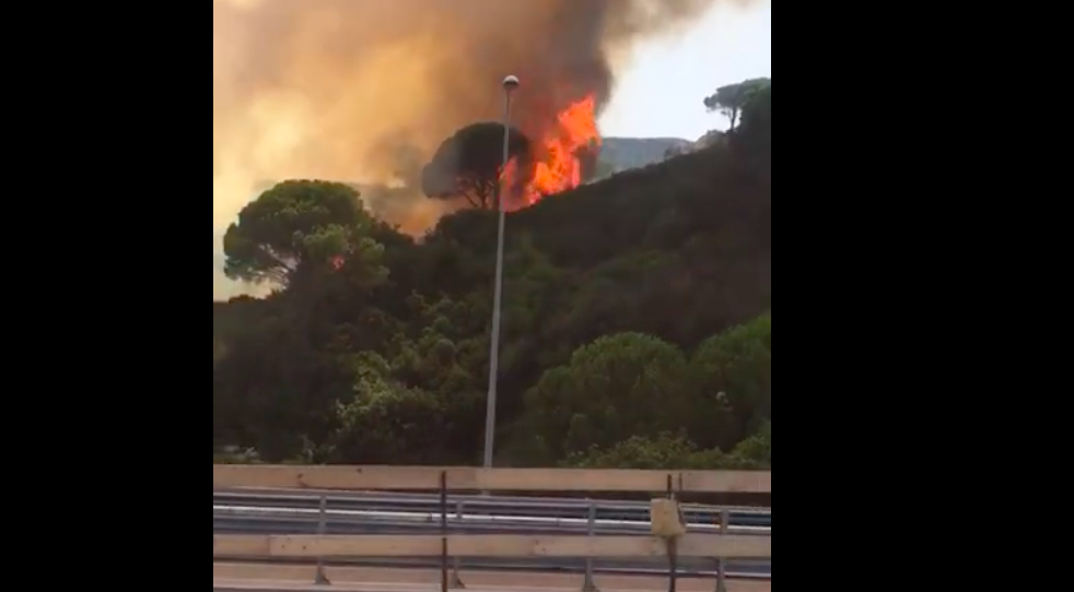 Incendi in Sicilia, bruciano boschi attorno Messina