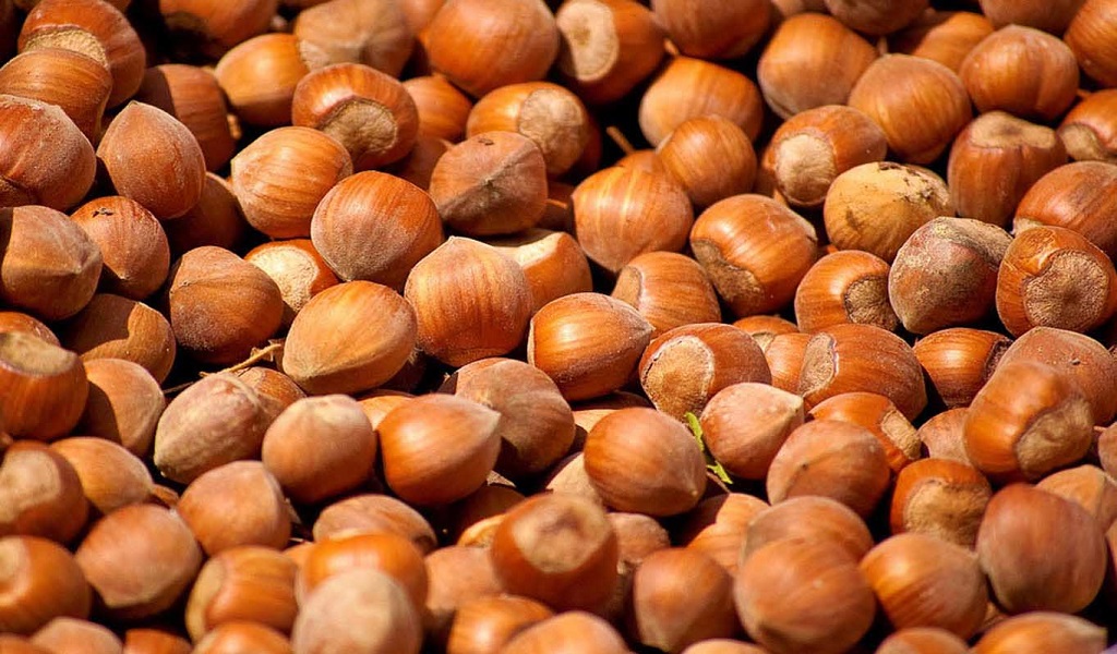 Allergia nocciola, isolata proteina causa dei sintomi