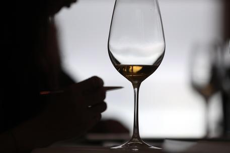 ViniMilo, aumentata produzione bottiglie Bianco Superiore Doc