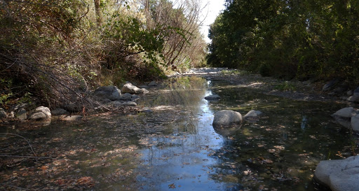 Goletta Verde di Legambiente: “Pessima qualità dell’acqua”