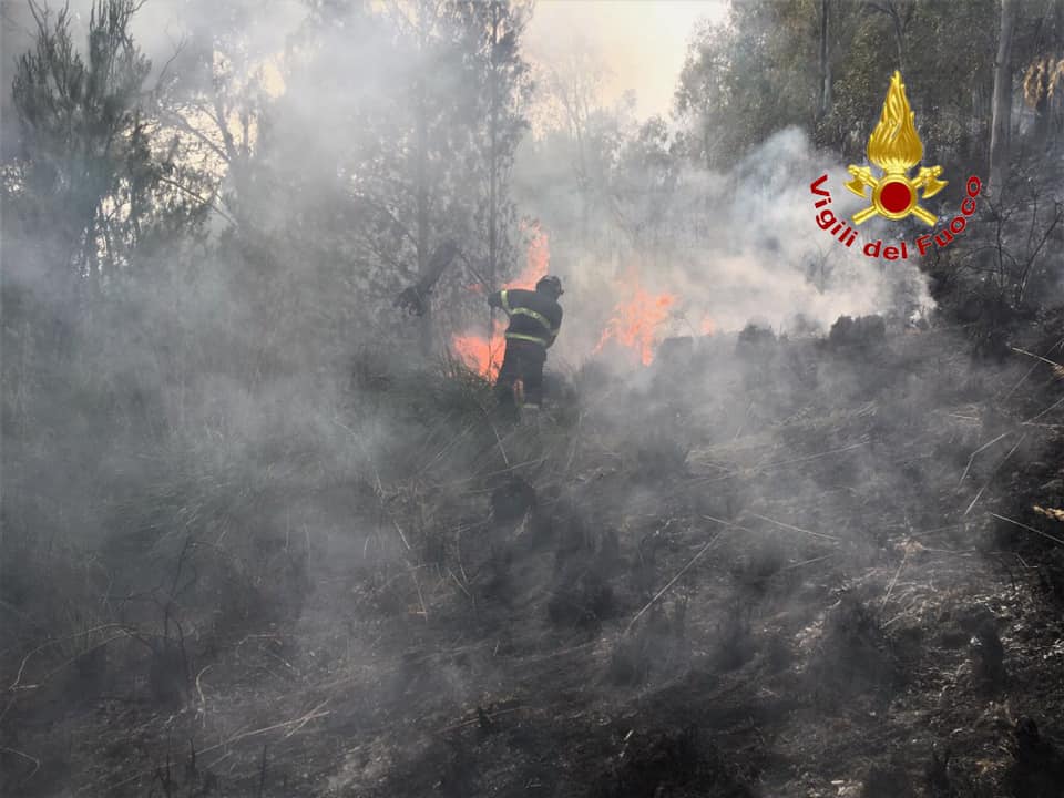 Incendi: in Sicilia l’ennesima emergenza evitabile