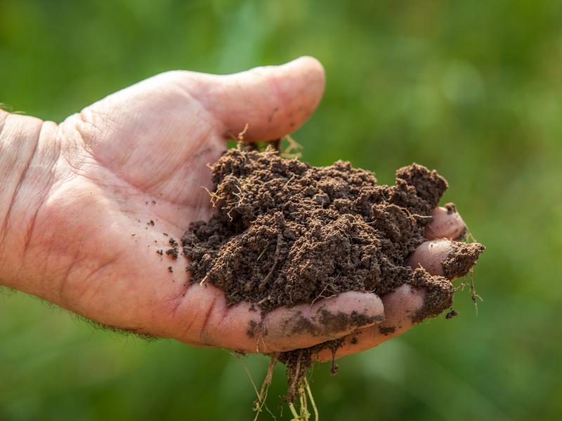 Agricoltura biologica, restano “rigidi” i protocolli