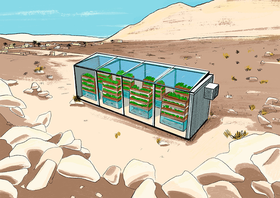 Agricoltura e acquacoltura nella Cellula della vita