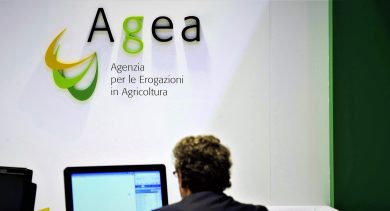 Concorso AGEA, posti per diplomati: ecco il bando, come partecipare e cosa studiare