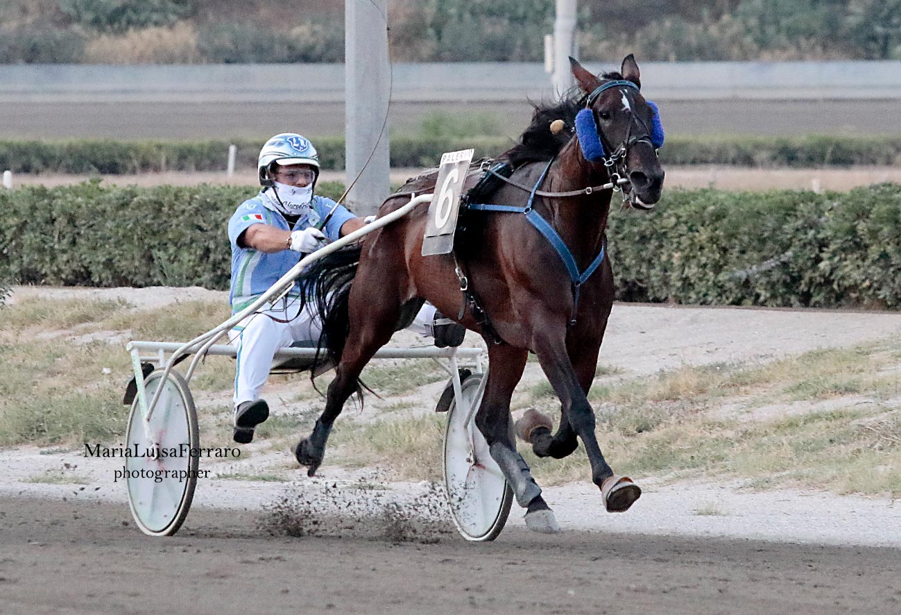 Ippodromo a Palermo, il Centrale va a Zeppelin Kyu Bar