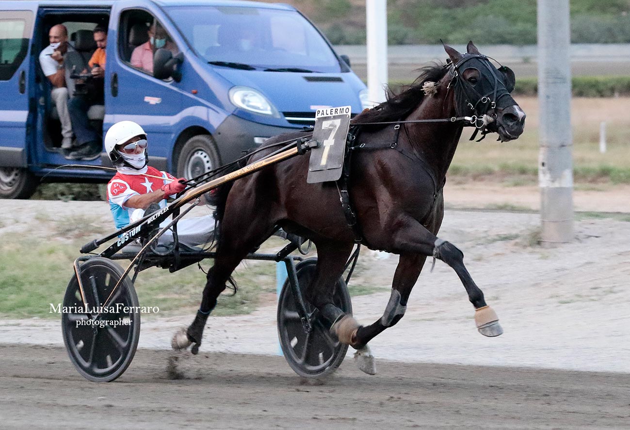 Ippodromo, nella corsa Tris brilla la stella di Border Line Pax