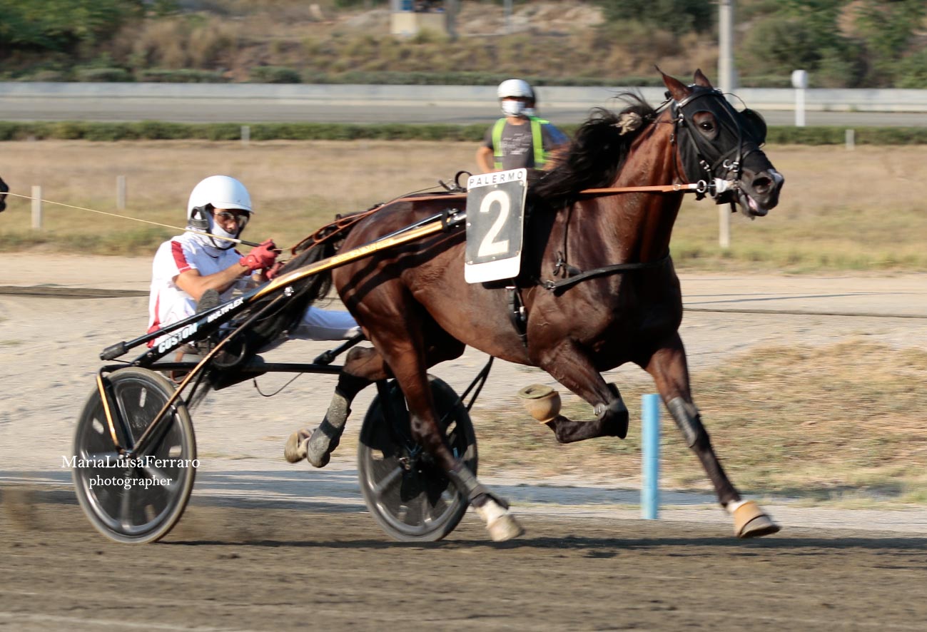 Ippodromo Palermo, Border Line Pax vince il centrale