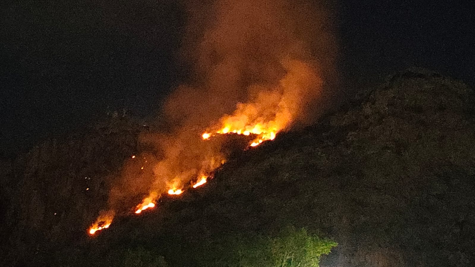 Incendi, Palermo, paura per rogo a Montepellegrino, ora spento