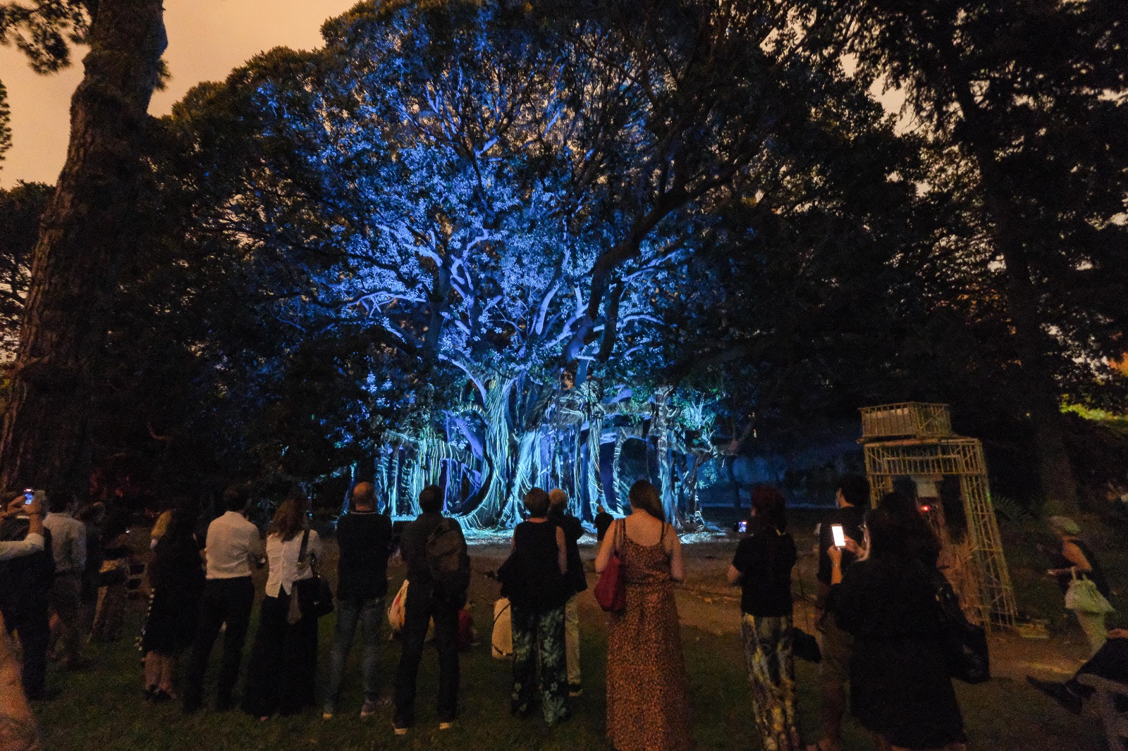 Palermo, vaccini all’orto Botanico tra salute e arte