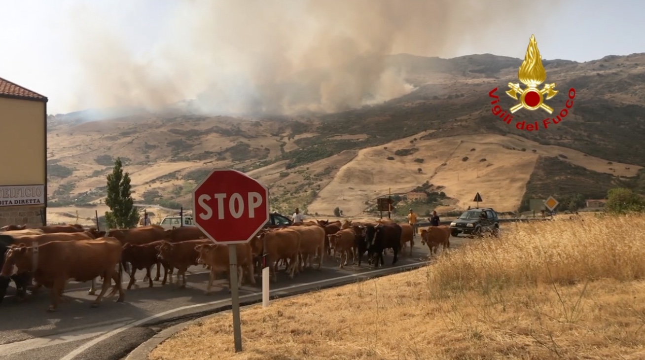 Incendi in Sicilia, paura anche a San Vito lo Capo Incendi in Sicilia, paura anche a San Vito lo Capo