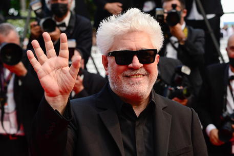 Instagram si scusa con Almodovar, “Una grande vittoria”