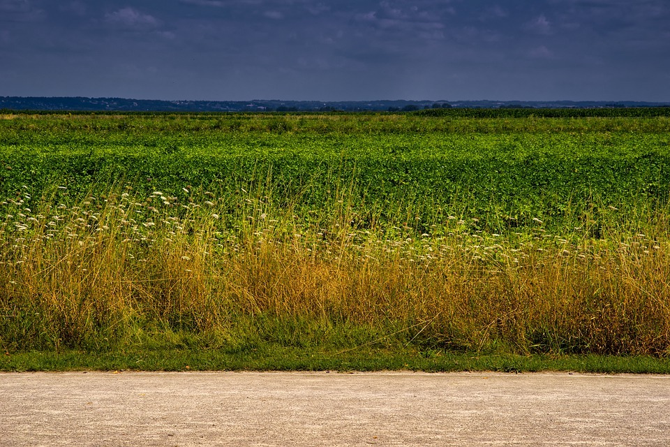 Ambiente, dalla Regione 40 milioni per la bonifica di 6 siti