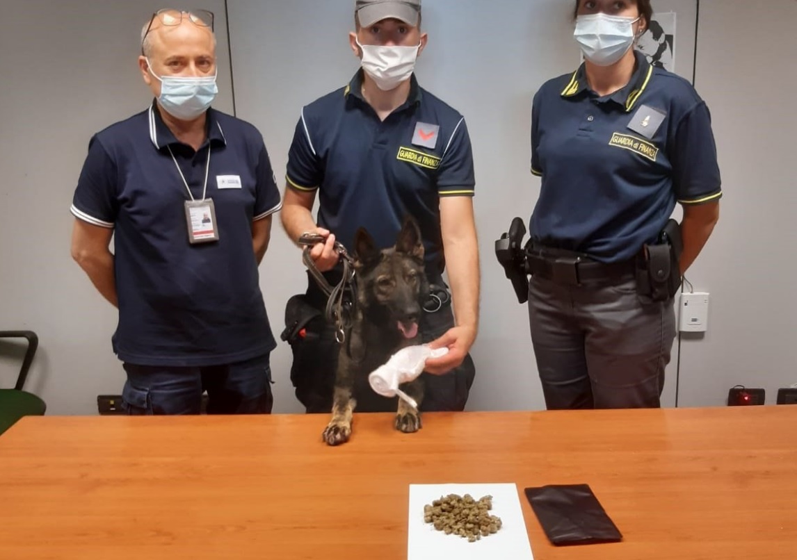 Aeroporto Palermo, droga scoperta nelle valigie di due passeggeri