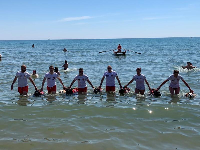 Catania, cani da salvataggio in azione alla playa