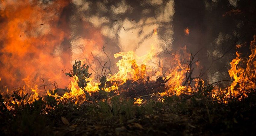 Incendi, appiccano fuoco in bosco dei Nebrodi, due arrestati