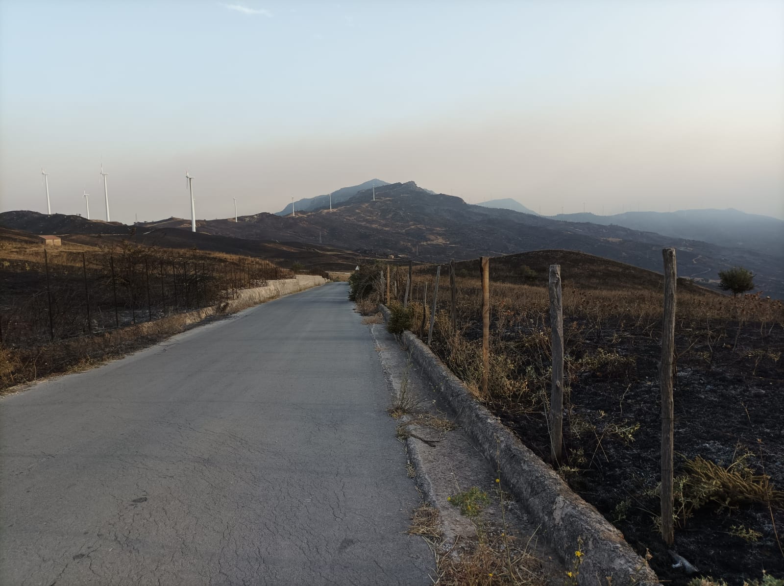 Gli incendi devastano i Nebrodi, danni incalcolabili a Castel di Lucio