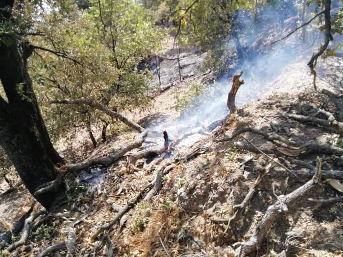 Incendi, inneschi dei piromani neutralizzati nel Messinese Incendi, inneschi dei piromani neutralizzati nel Messinese