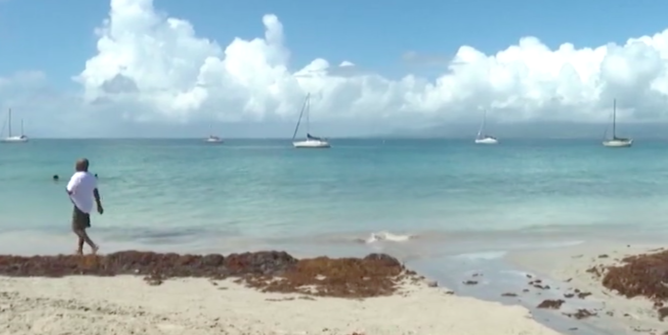 Covid, la Martinica chiude le spiagge e “invita” i turisti a partire