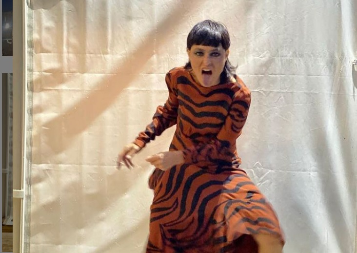 Petra Magoni rifiuta tampone e salta il concerto, “non sono una no vax”