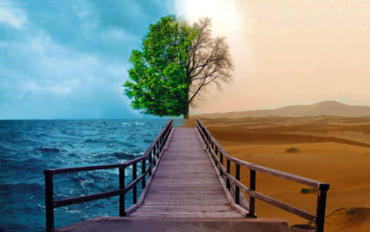 Si muore senza motivo, è il Caso che decide