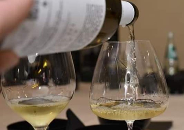 Approvazione emendamenti al Cancer Plan: Federvini soddisfatta 