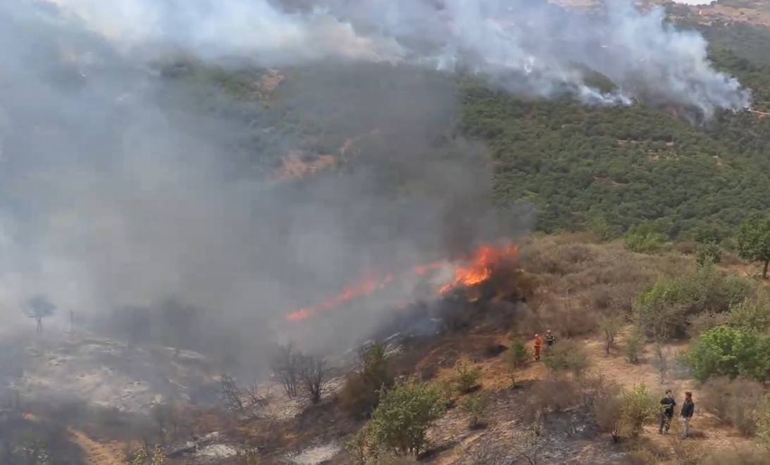 Incendi Enna, obiettivo prevenzione per evitare un nuovo inferno