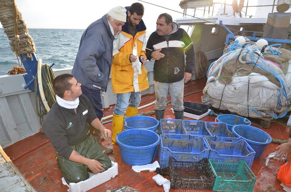 Pesca, quella a strascico è insostenibile per la biodiversità