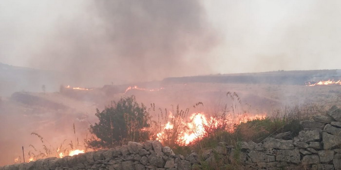 Incendio Parco di Calaforno: due iniziative di raccolta fondi