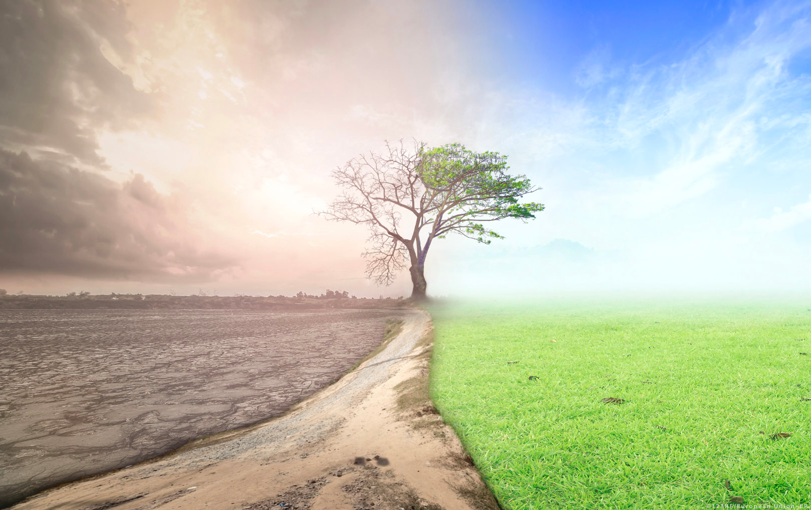 Neutralità climatica, Regioni lontane dall’obiettivo