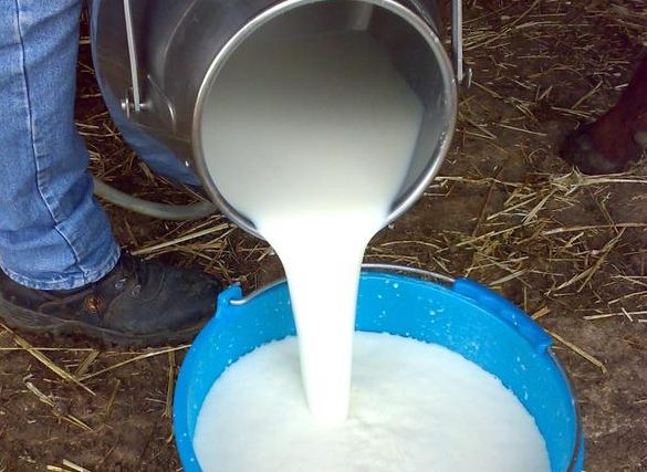 Distretto caseario, approvato documento sui prezzi del latte