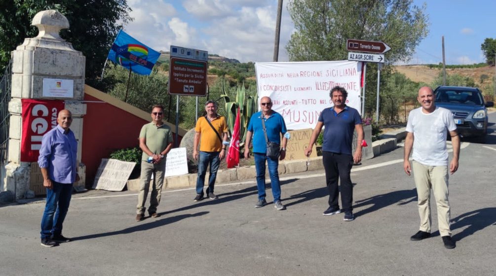 Esuberi e assunzioni, lo strano caso dell’Istituto Incremento Ippico