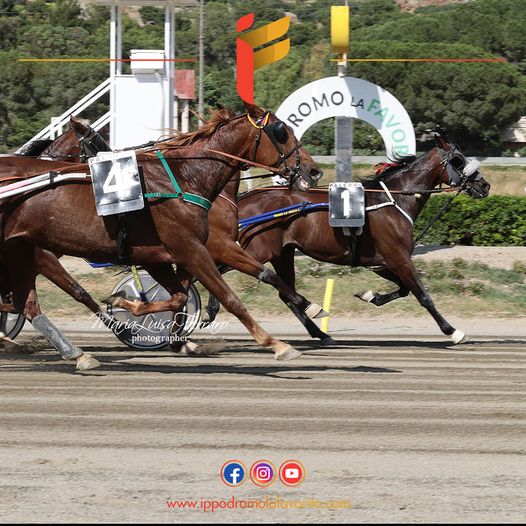 Ippodromo, altro centrale nel segno di Criss Cross, i risultati delle gare