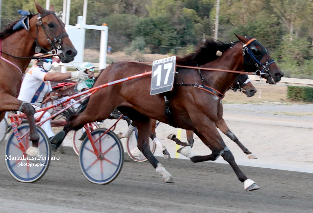 Tris di gran livello all’ippodromo di Palermo, trionfa Lo Verde