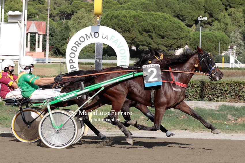 Ippica Palermo, giornata di corse riservata ai gentleman