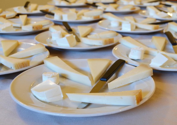 Caro materie prime, la lettera del neo comitato “Caseifici di Sicilia” rivolta alle Istituzioni