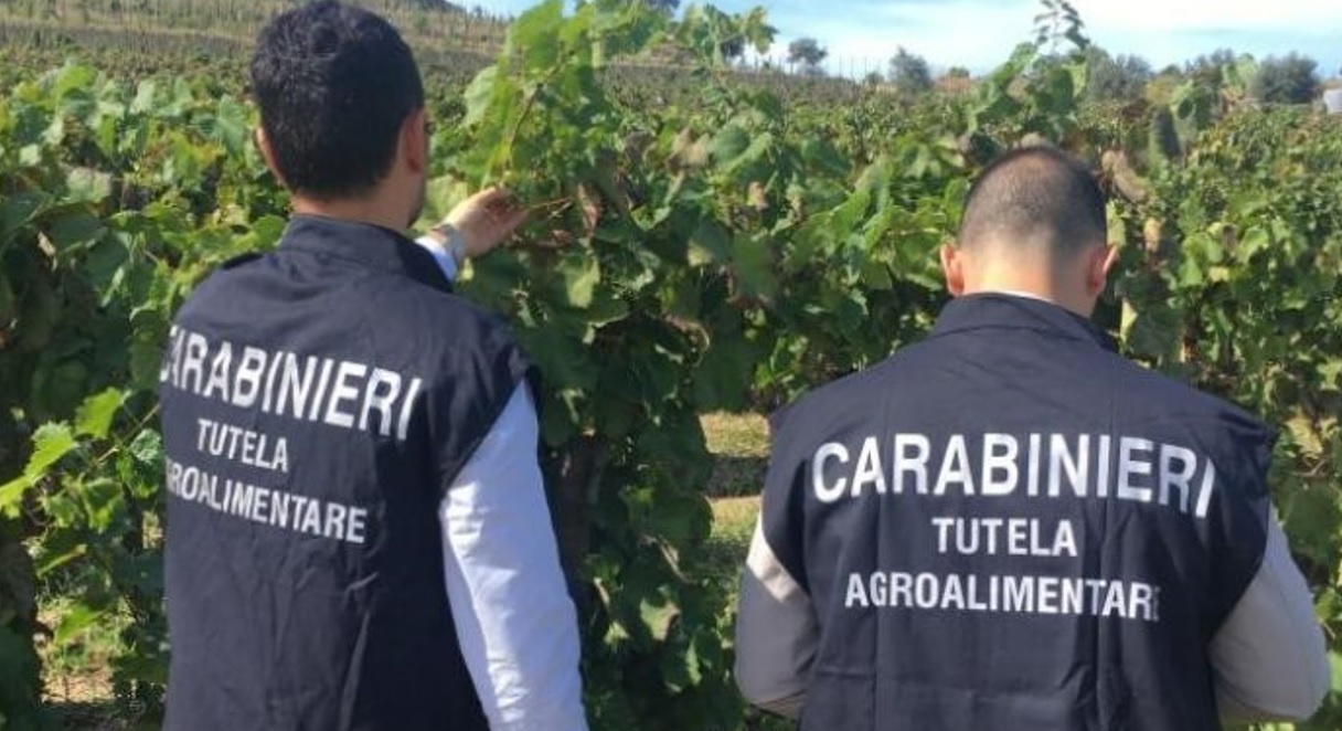 Siracusa, la truffa del pomodoro finto Igp, operazione “Scarlatto quattro”