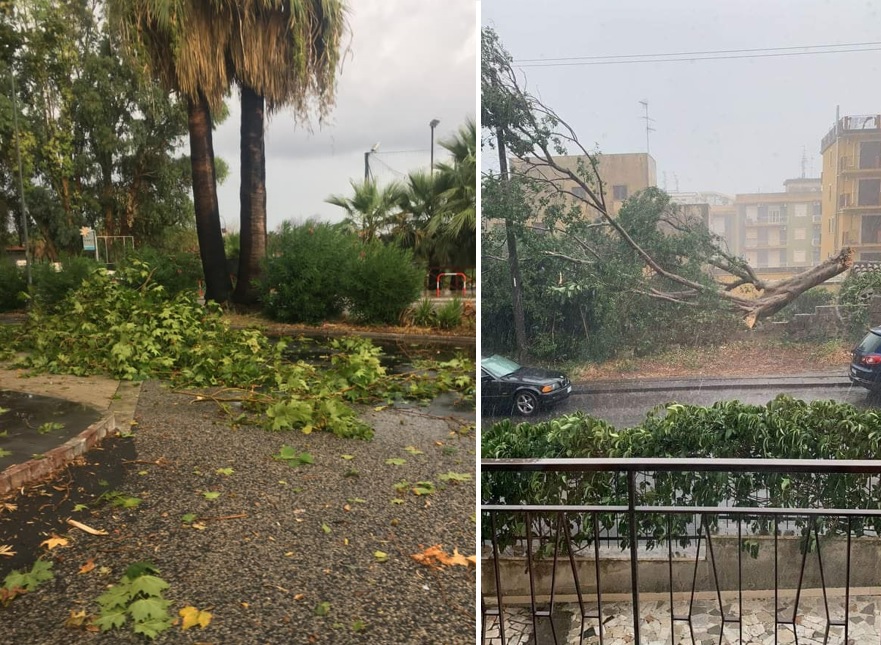 Temporale, Catania, alberi abbattuti, chiusi Giardino Bellini e Villa Pacini – foto