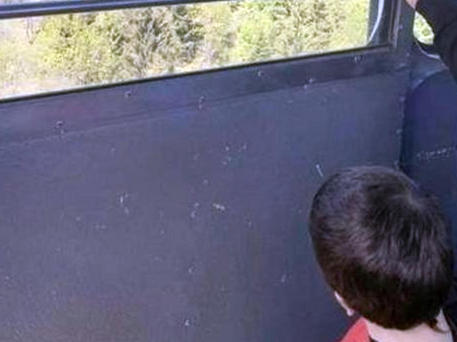 Eitan, il tribunale dei minori nomina tutore professionista