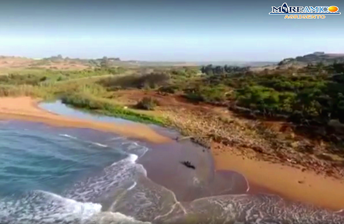 Selinunte, così il fiume Modione inquina il mare di Triscina