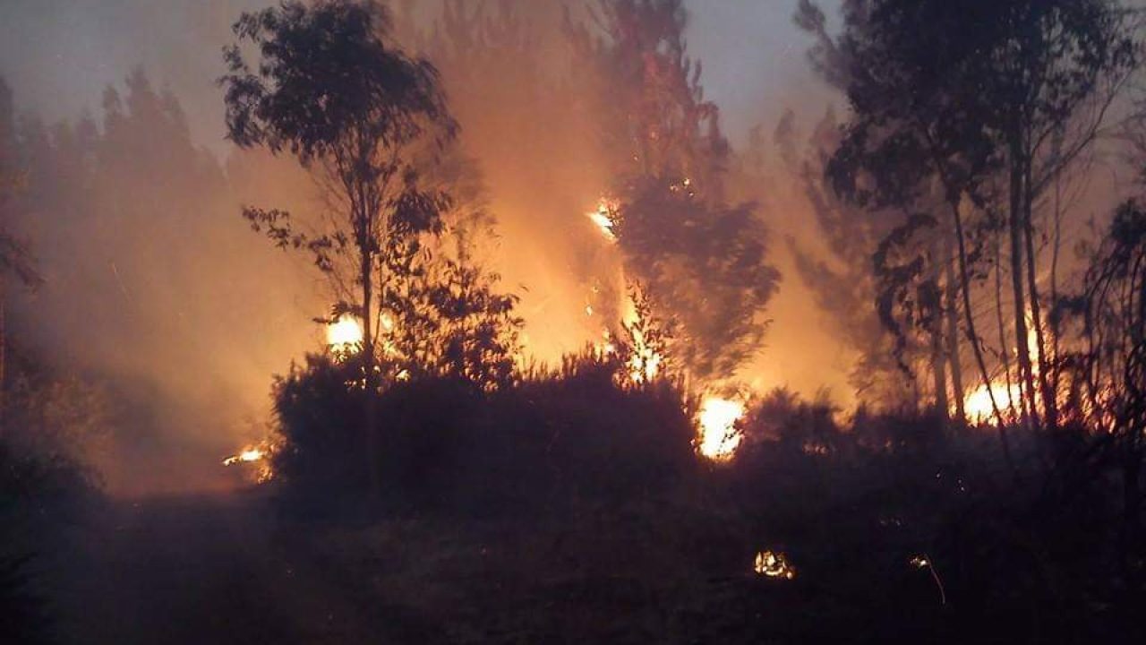 Ambiente e donne temi trascurati
