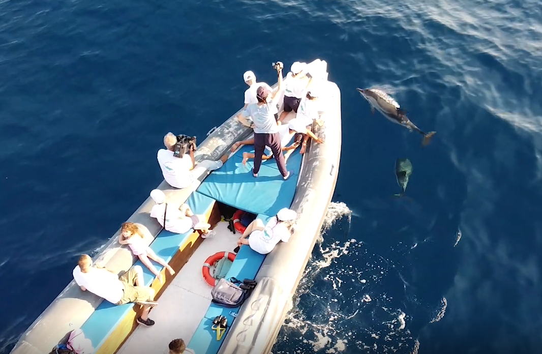 Golfo di Catania e specie marine protette, il docufilm di MareCamp
